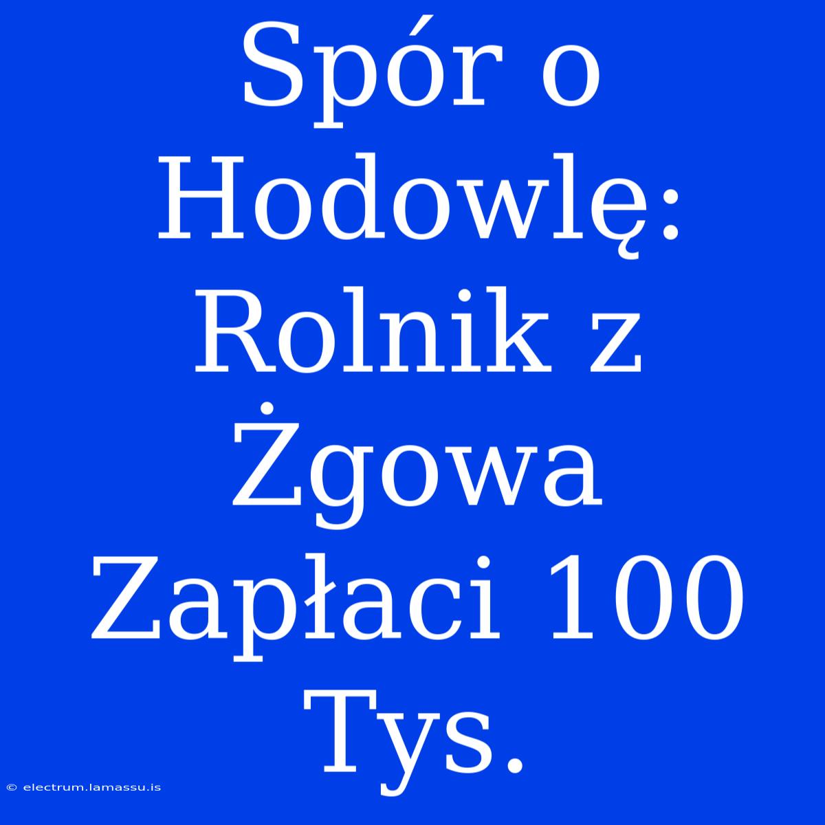 Spór O Hodowlę: Rolnik Z Żgowa Zapłaci 100 Tys.