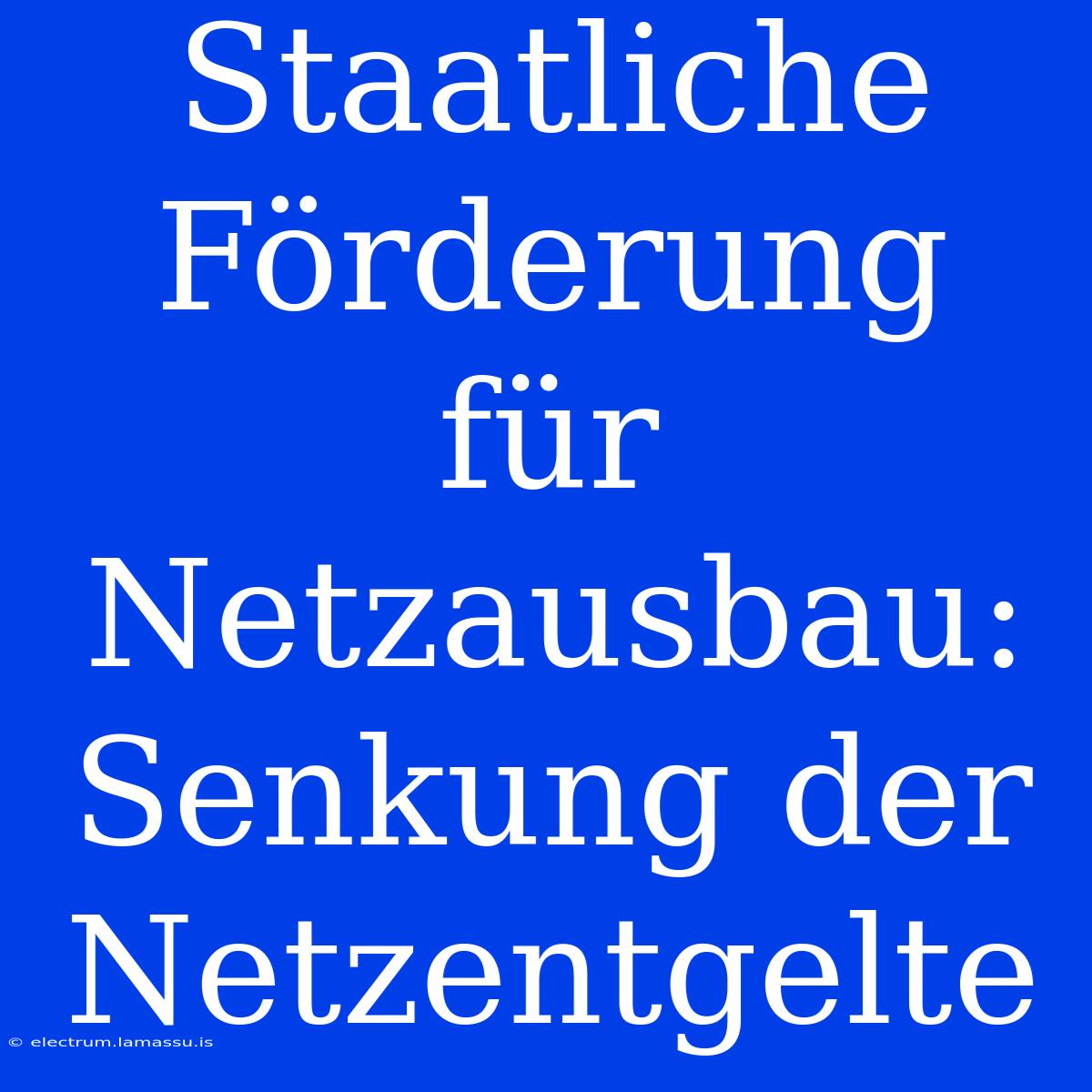 Staatliche Förderung Für Netzausbau: Senkung Der Netzentgelte