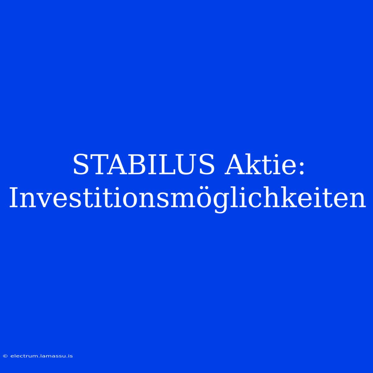 STABILUS Aktie: Investitionsmöglichkeiten