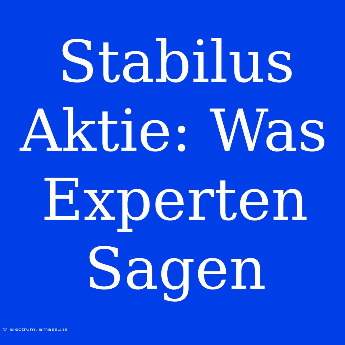 Stabilus Aktie: Was Experten Sagen