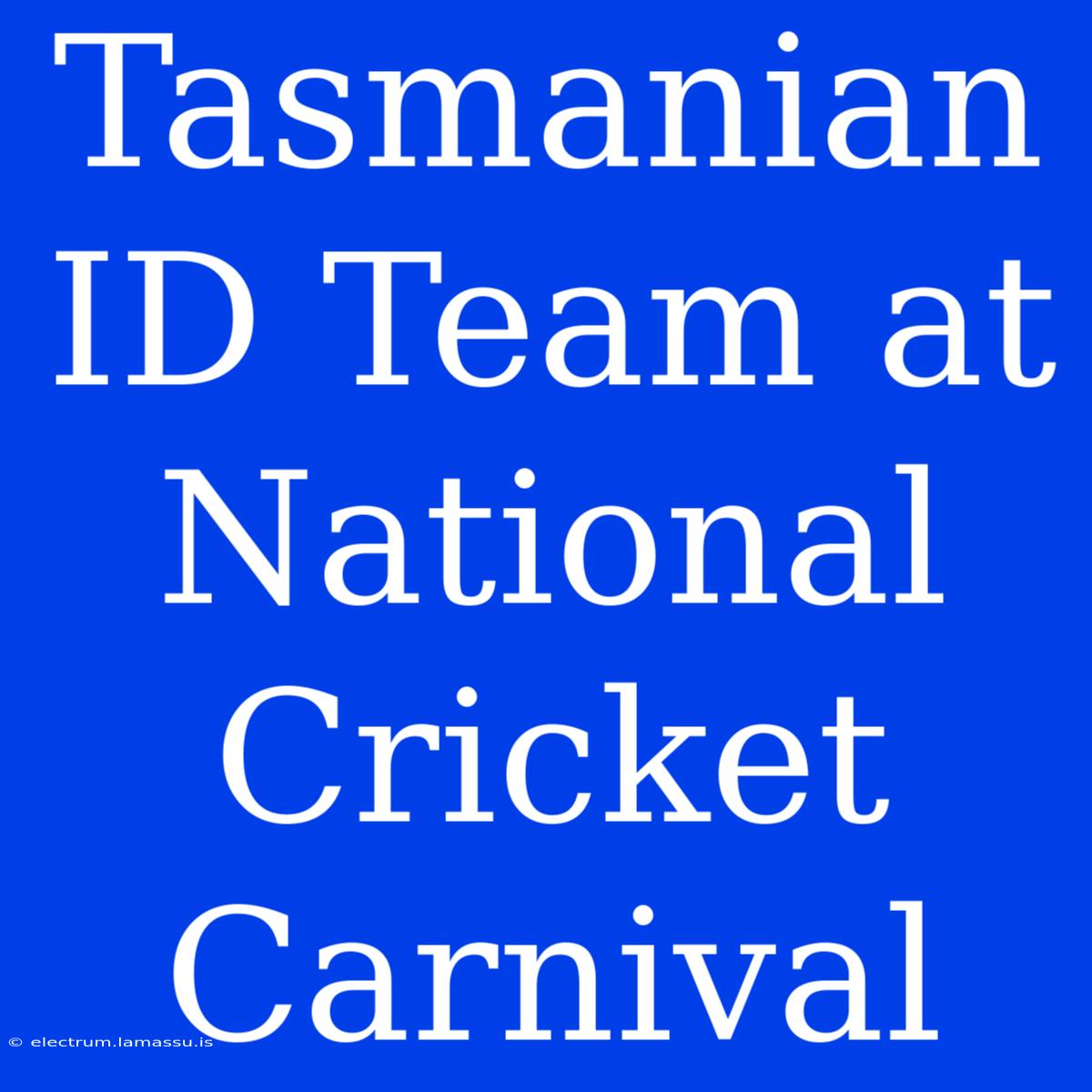 Tasmanian ID Team At National Cricket Carnival