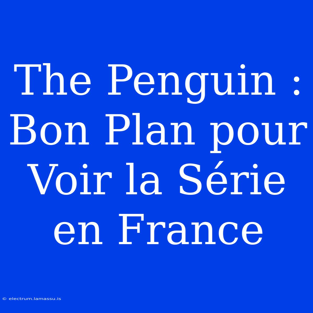 The Penguin : Bon Plan Pour Voir La Série En France