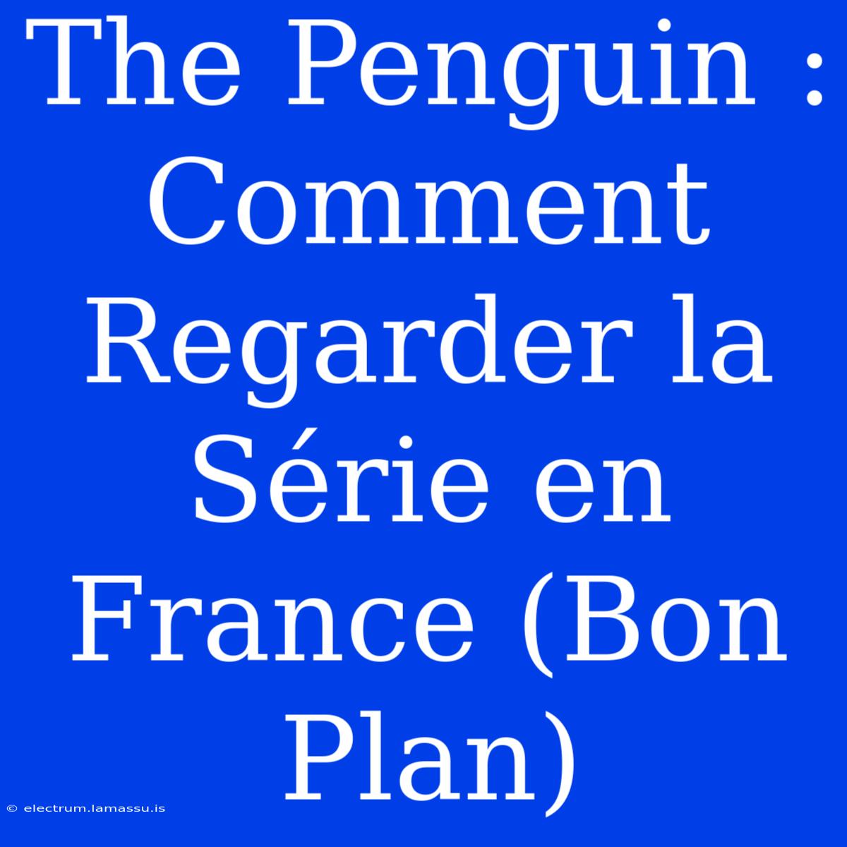 The Penguin : Comment Regarder La Série En France (Bon Plan)