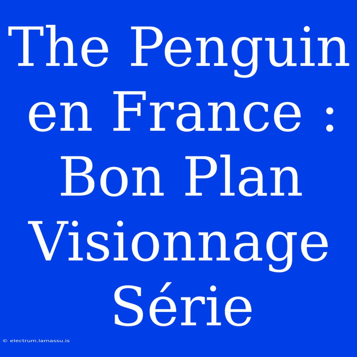 The Penguin En France : Bon Plan Visionnage Série