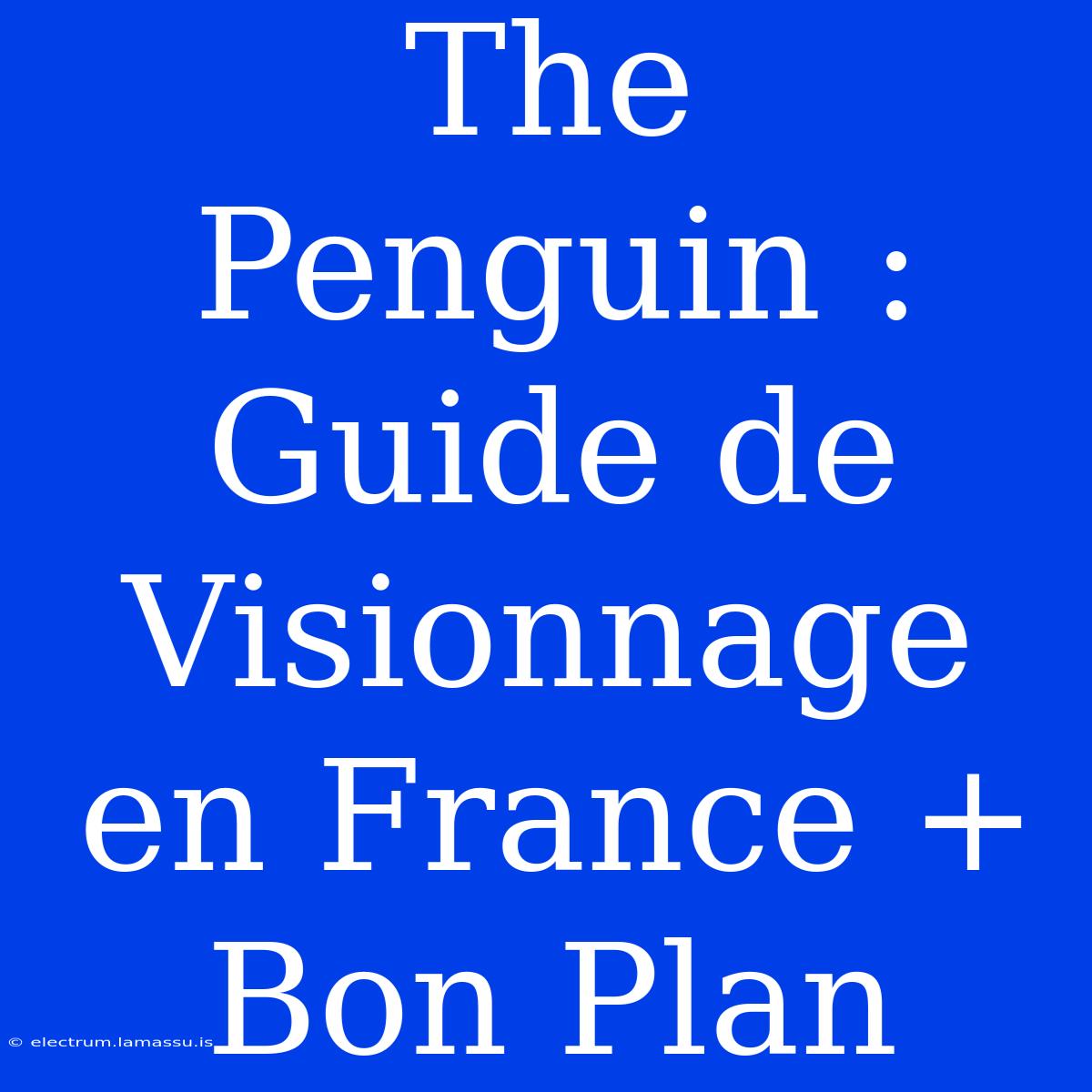 The Penguin : Guide De Visionnage En France + Bon Plan