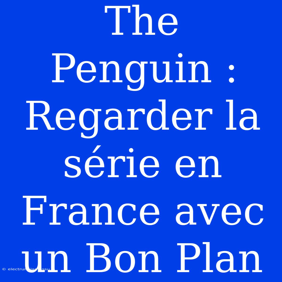 The Penguin : Regarder La Série En France Avec Un Bon Plan