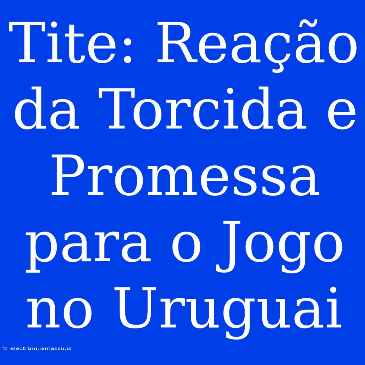 Tite: Reação Da Torcida E Promessa Para O Jogo No Uruguai