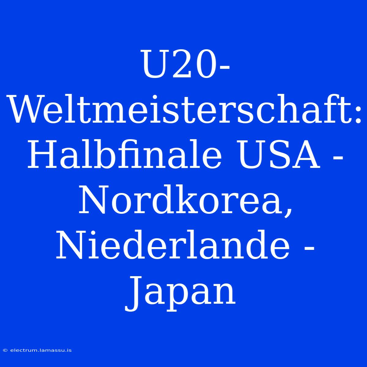 U20-Weltmeisterschaft: Halbfinale USA - Nordkorea, Niederlande - Japan