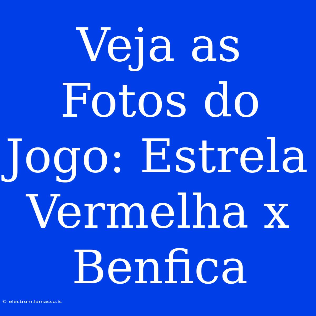 Veja As Fotos Do Jogo: Estrela Vermelha X Benfica