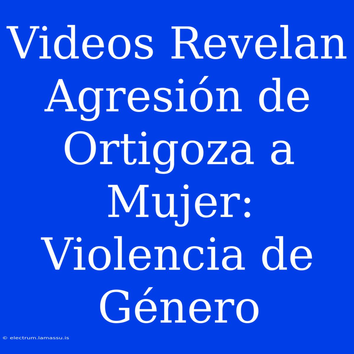 Videos Revelan Agresión De Ortigoza A Mujer: Violencia De Género