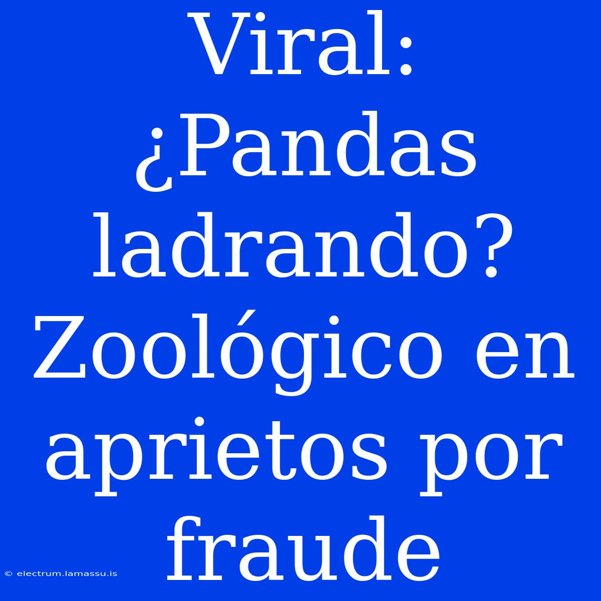 Viral: ¿Pandas Ladrando? Zoológico En Aprietos Por Fraude