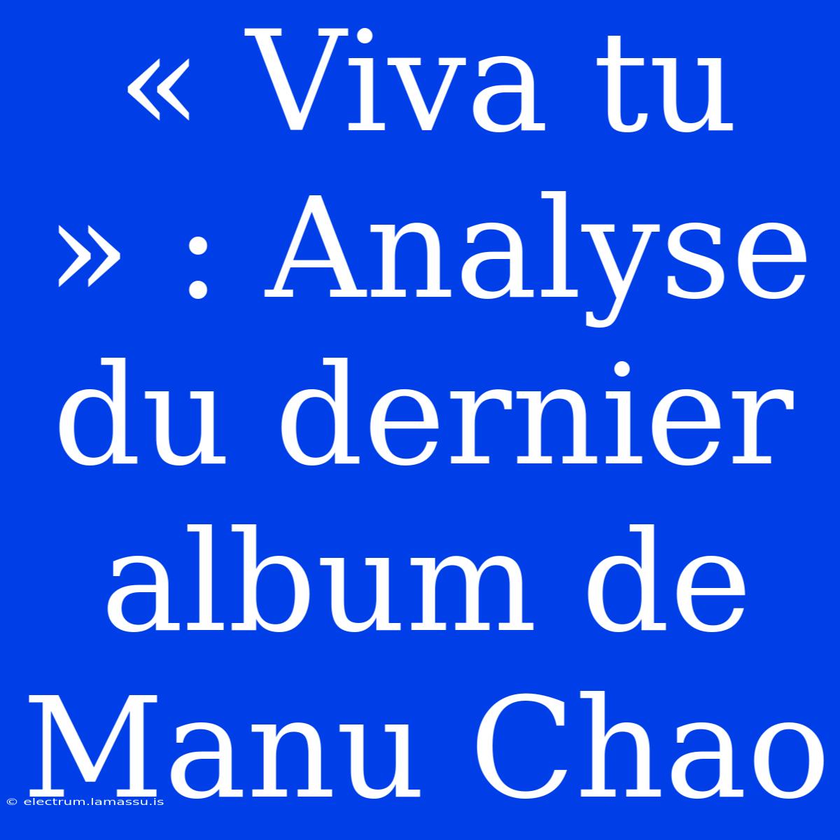 « Viva Tu » : Analyse Du Dernier Album De Manu Chao