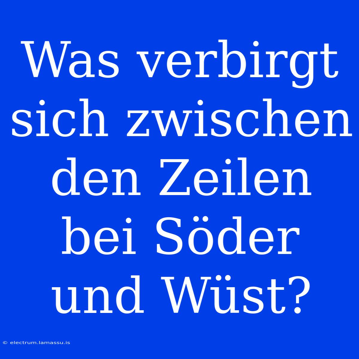 Was Verbirgt Sich Zwischen Den Zeilen Bei Söder Und Wüst?