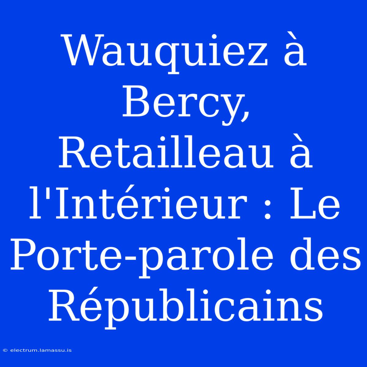 Wauquiez À Bercy, Retailleau À L'Intérieur : Le Porte-parole Des Républicains