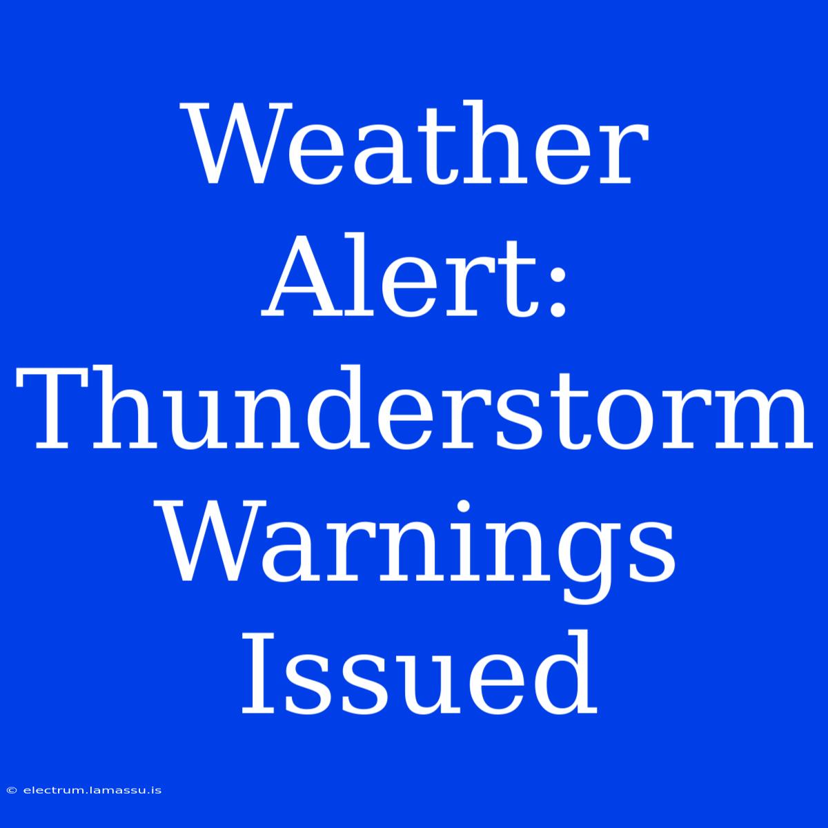 Weather Alert: Thunderstorm Warnings Issued