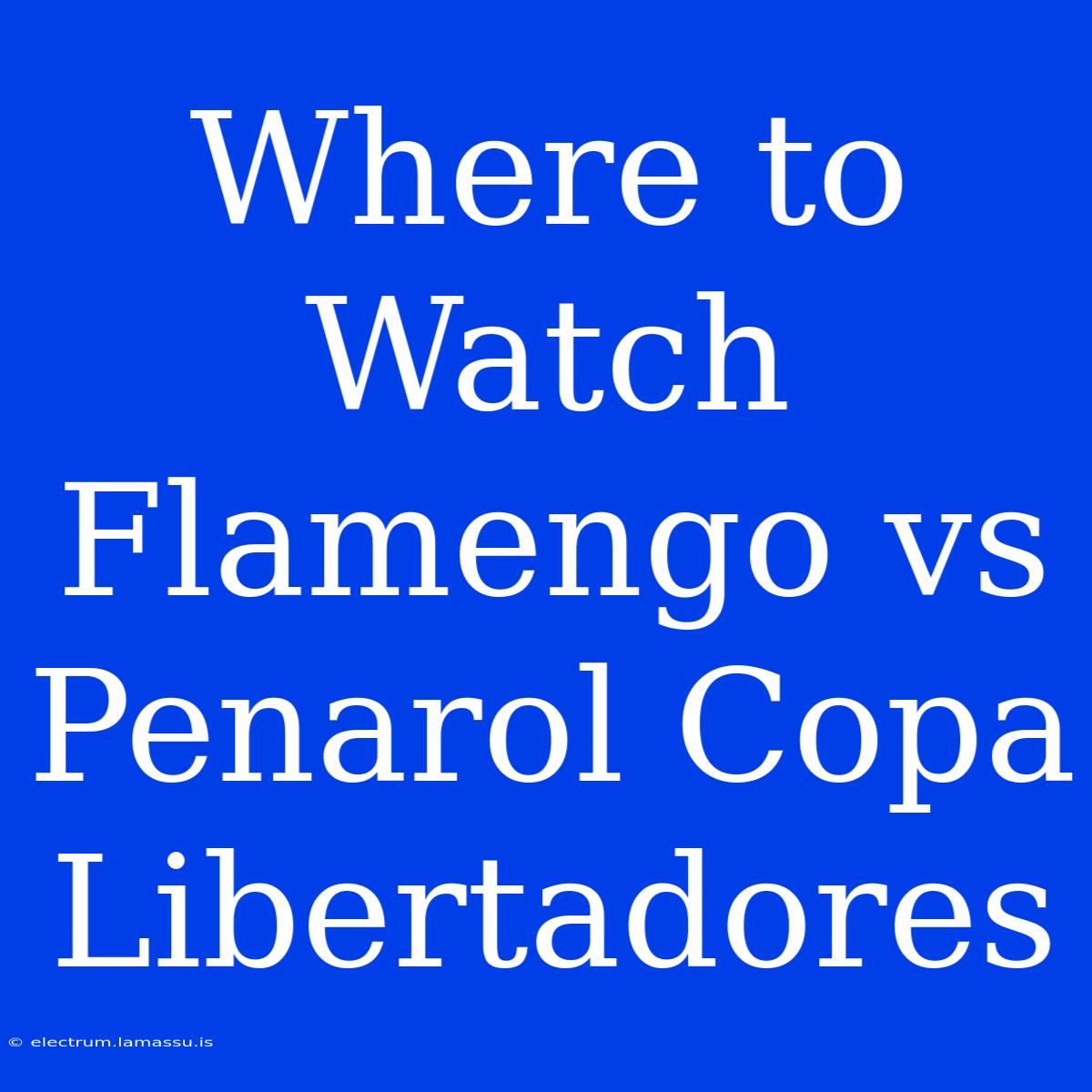 Where To Watch Flamengo Vs Penarol Copa Libertadores