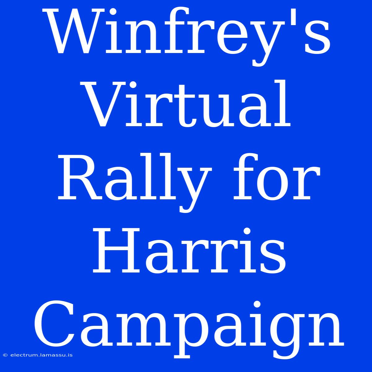 Winfrey's Virtual Rally For Harris Campaign 