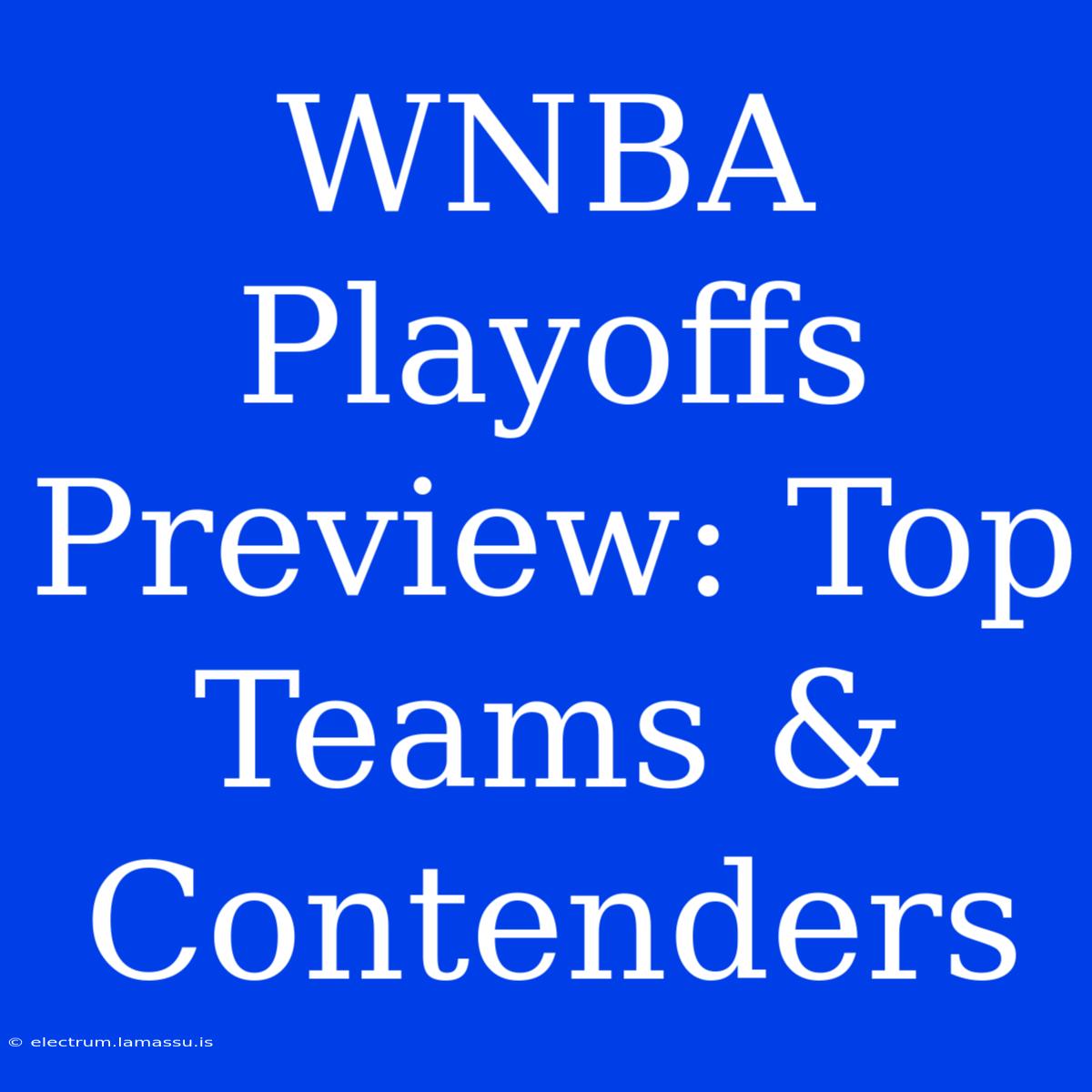 WNBA Playoffs Preview: Top Teams & Contenders