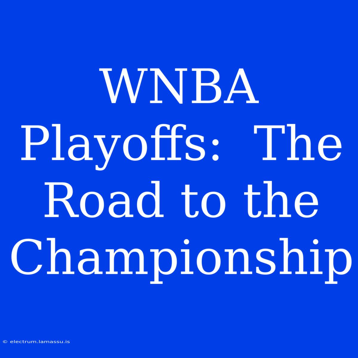 WNBA Playoffs:  The Road To The Championship