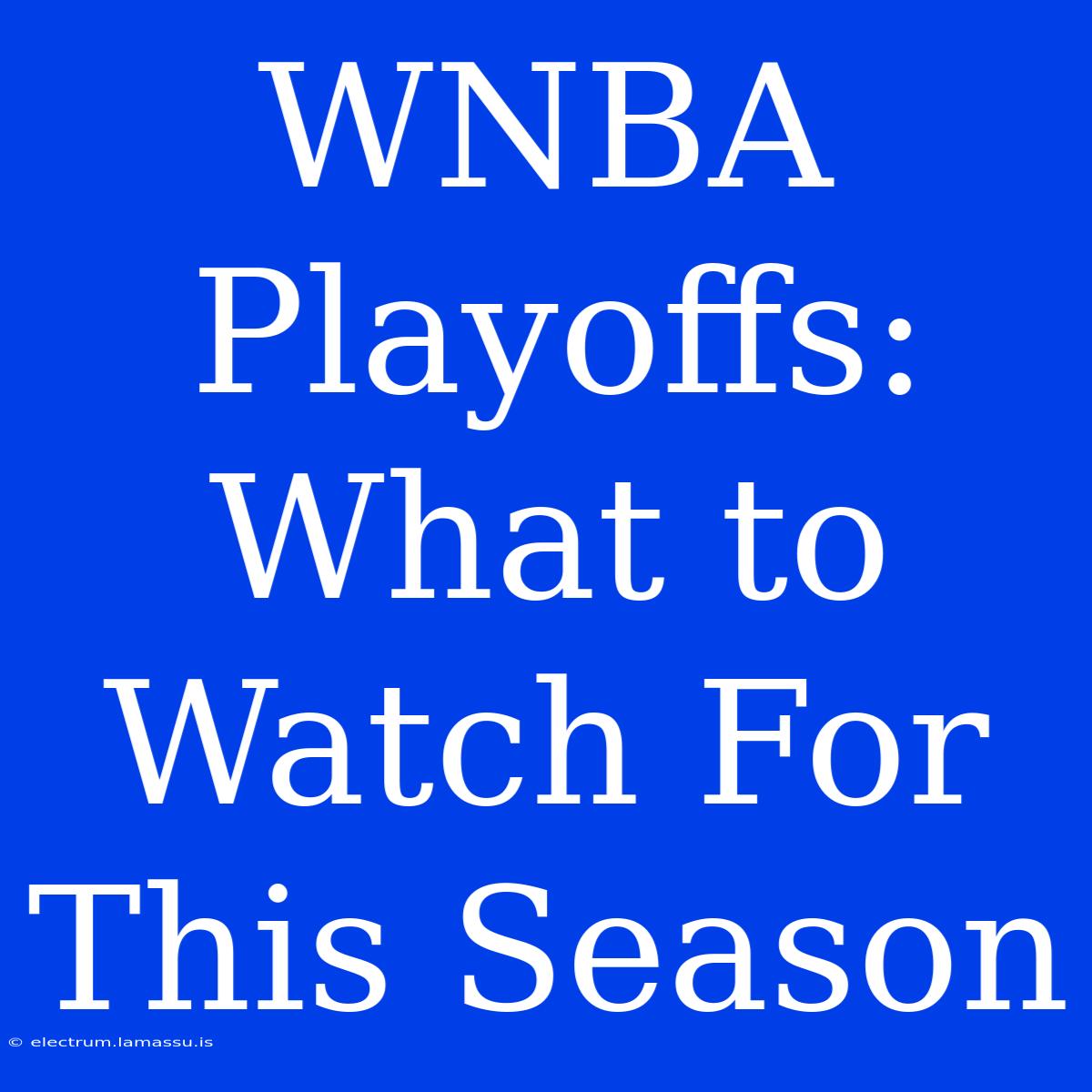 WNBA Playoffs: What To Watch For This Season