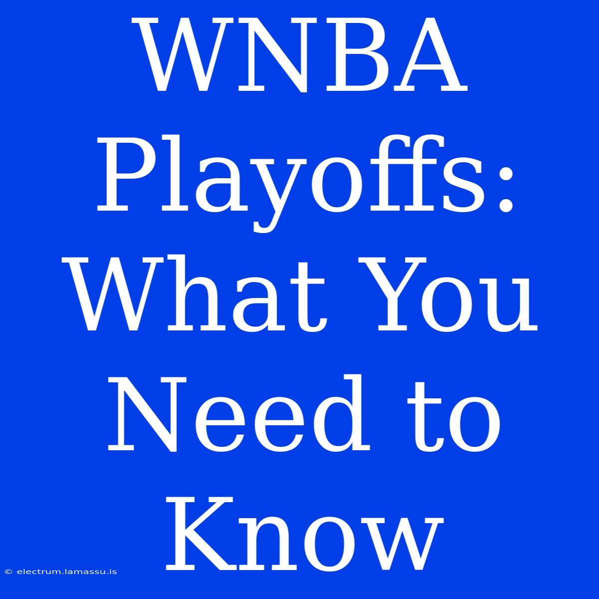 WNBA Playoffs:  What You Need To Know