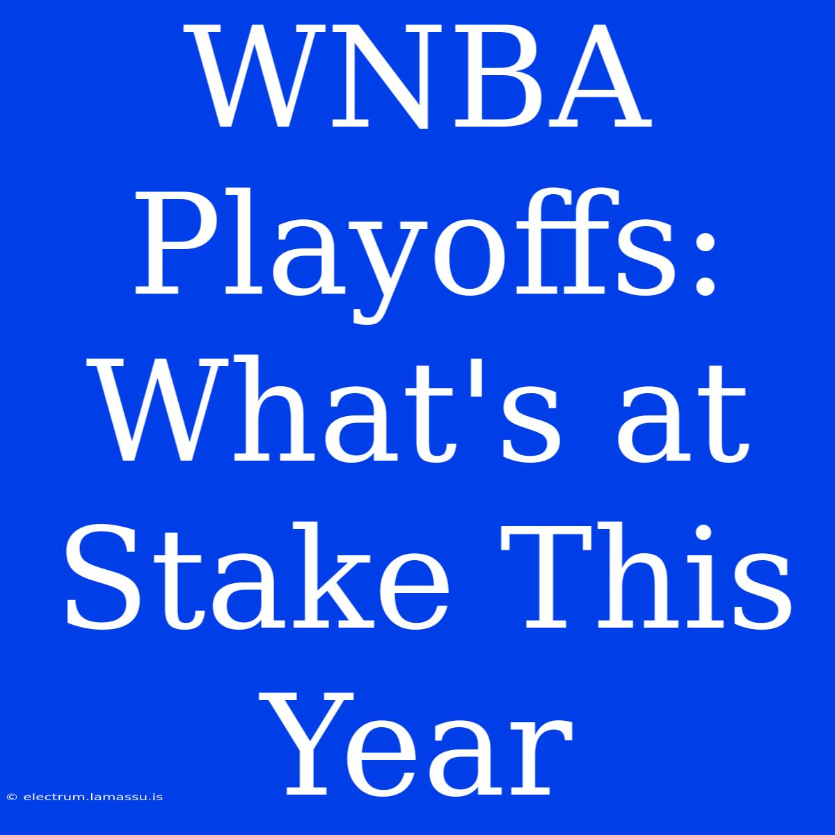 WNBA Playoffs:  What's At Stake This Year 