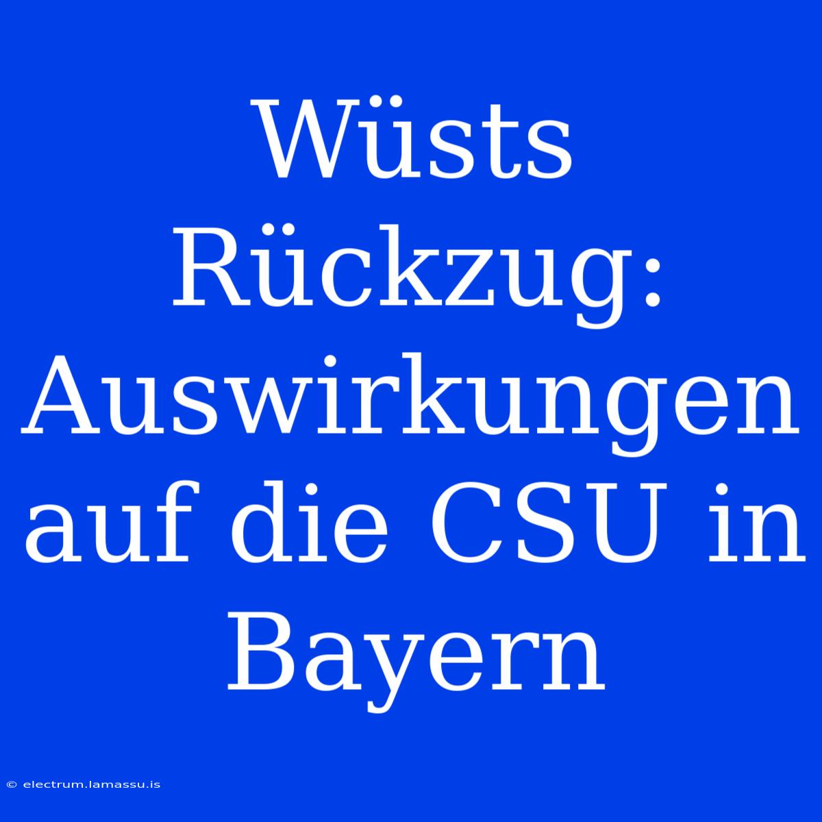 Wüsts Rückzug: Auswirkungen Auf Die CSU In Bayern