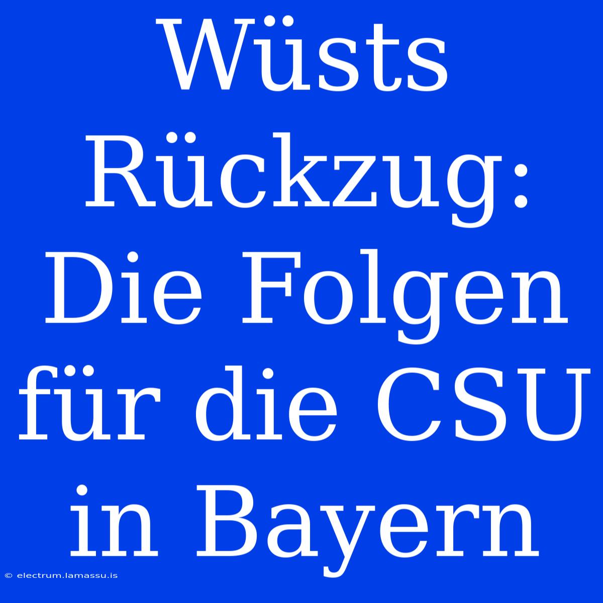 Wüsts Rückzug: Die Folgen Für Die CSU In Bayern 