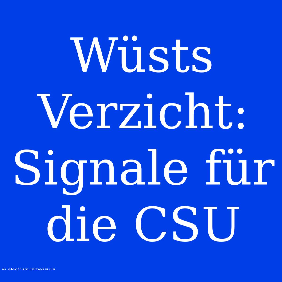 Wüsts Verzicht: Signale Für Die CSU