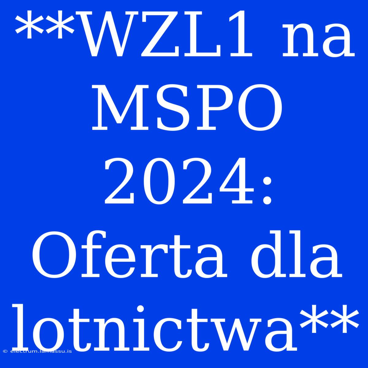 **WZL1 Na MSPO 2024: Oferta Dla Lotnictwa**