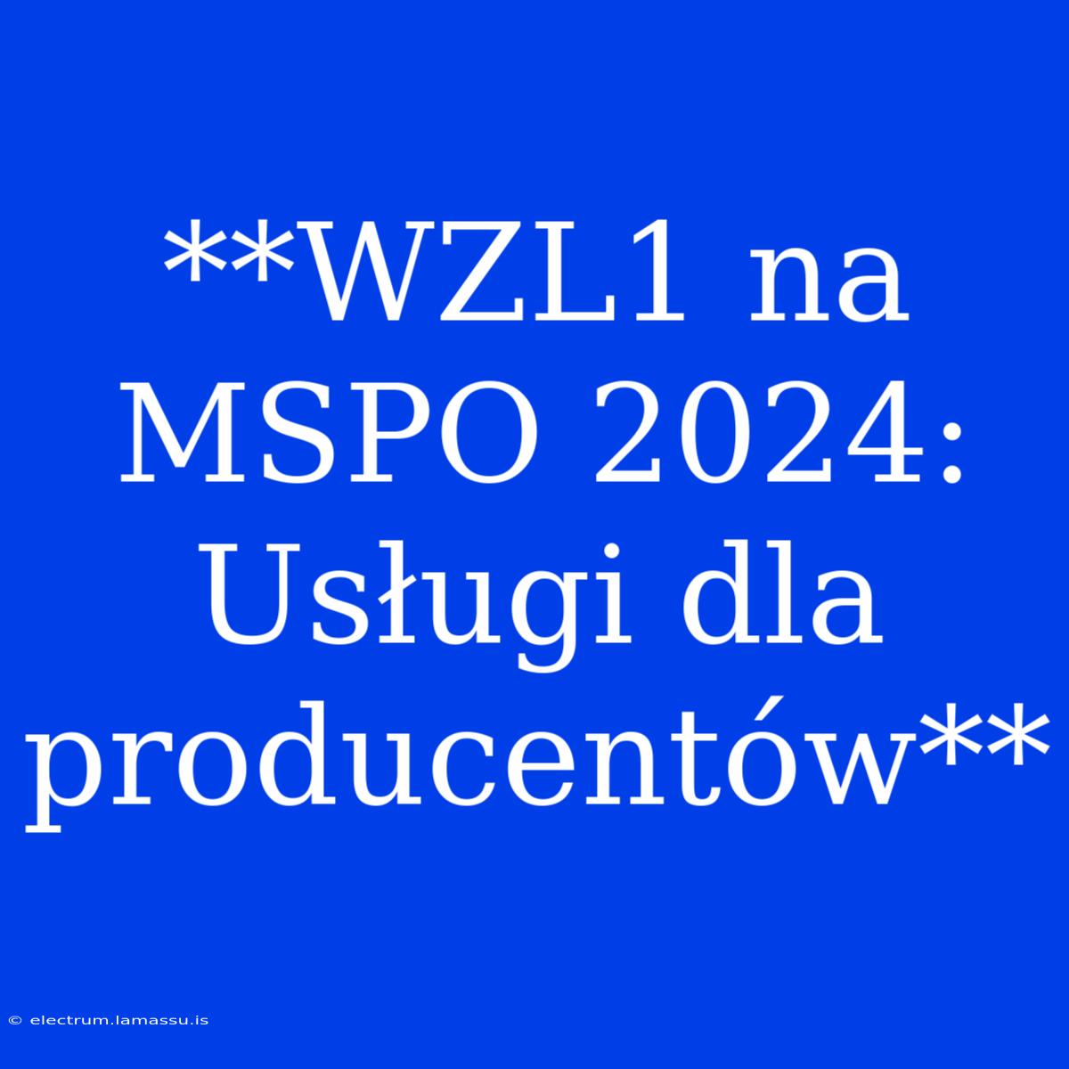 **WZL1 Na MSPO 2024: Usługi Dla Producentów**