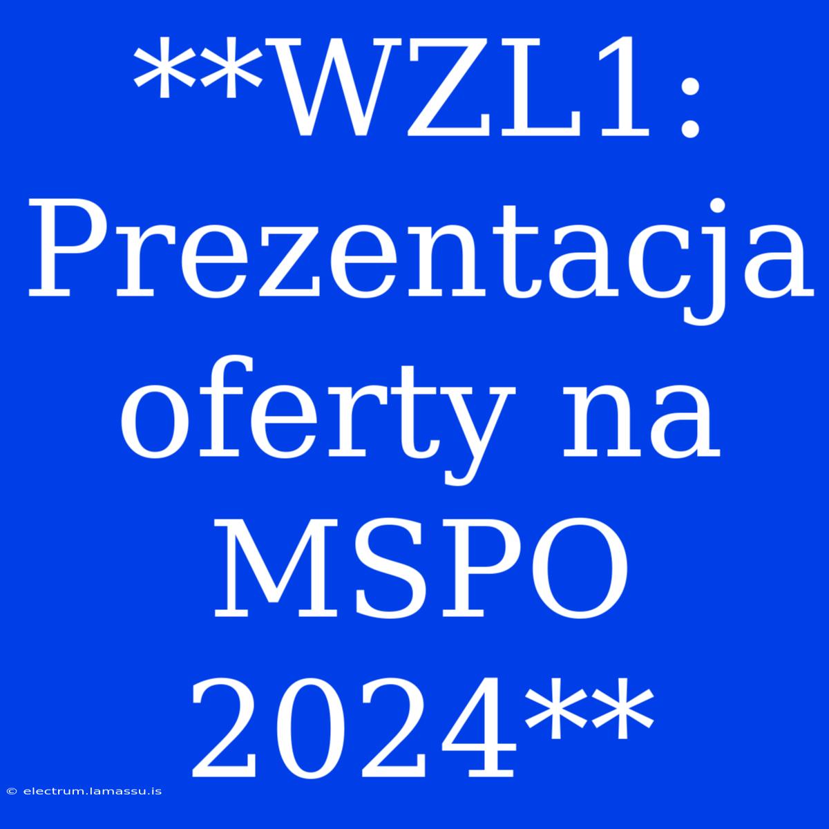 **WZL1: Prezentacja Oferty Na MSPO 2024**