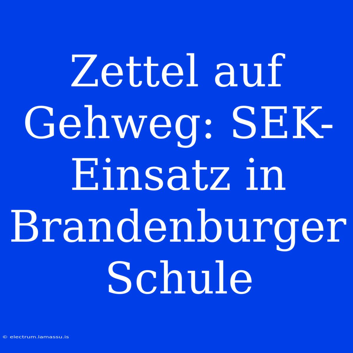 Zettel Auf Gehweg: SEK-Einsatz In Brandenburger Schule