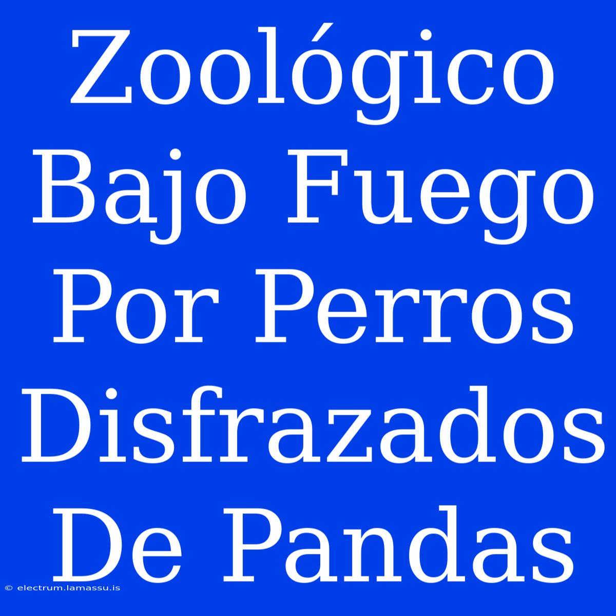 Zoológico Bajo Fuego Por Perros Disfrazados De Pandas