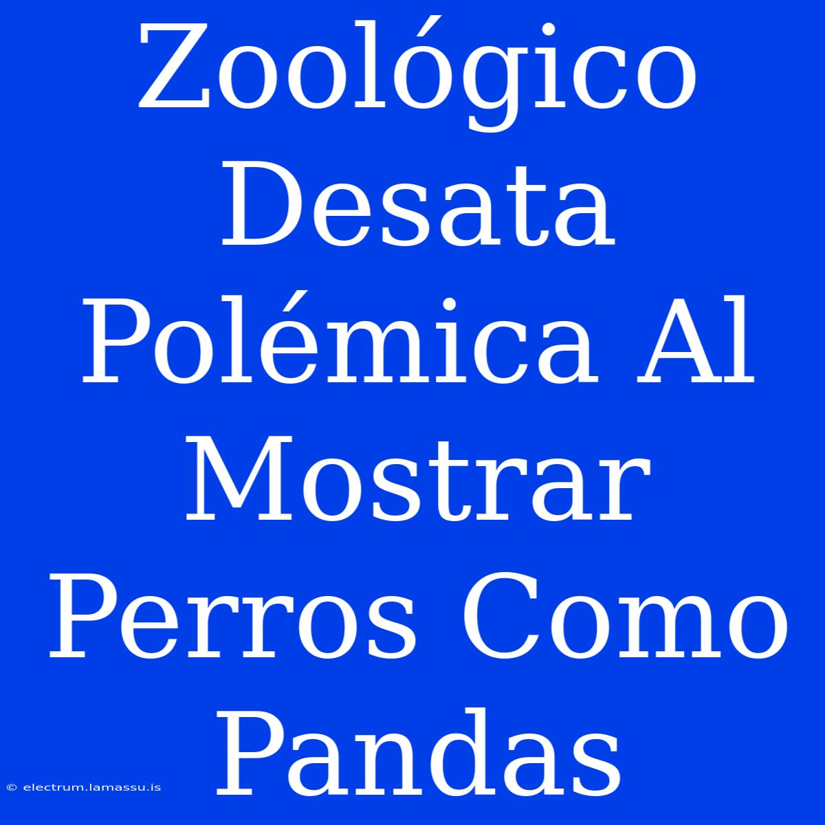 Zoológico Desata Polémica Al Mostrar Perros Como Pandas