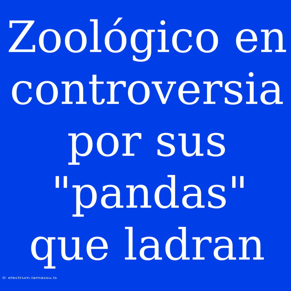 Zoológico En Controversia Por Sus 