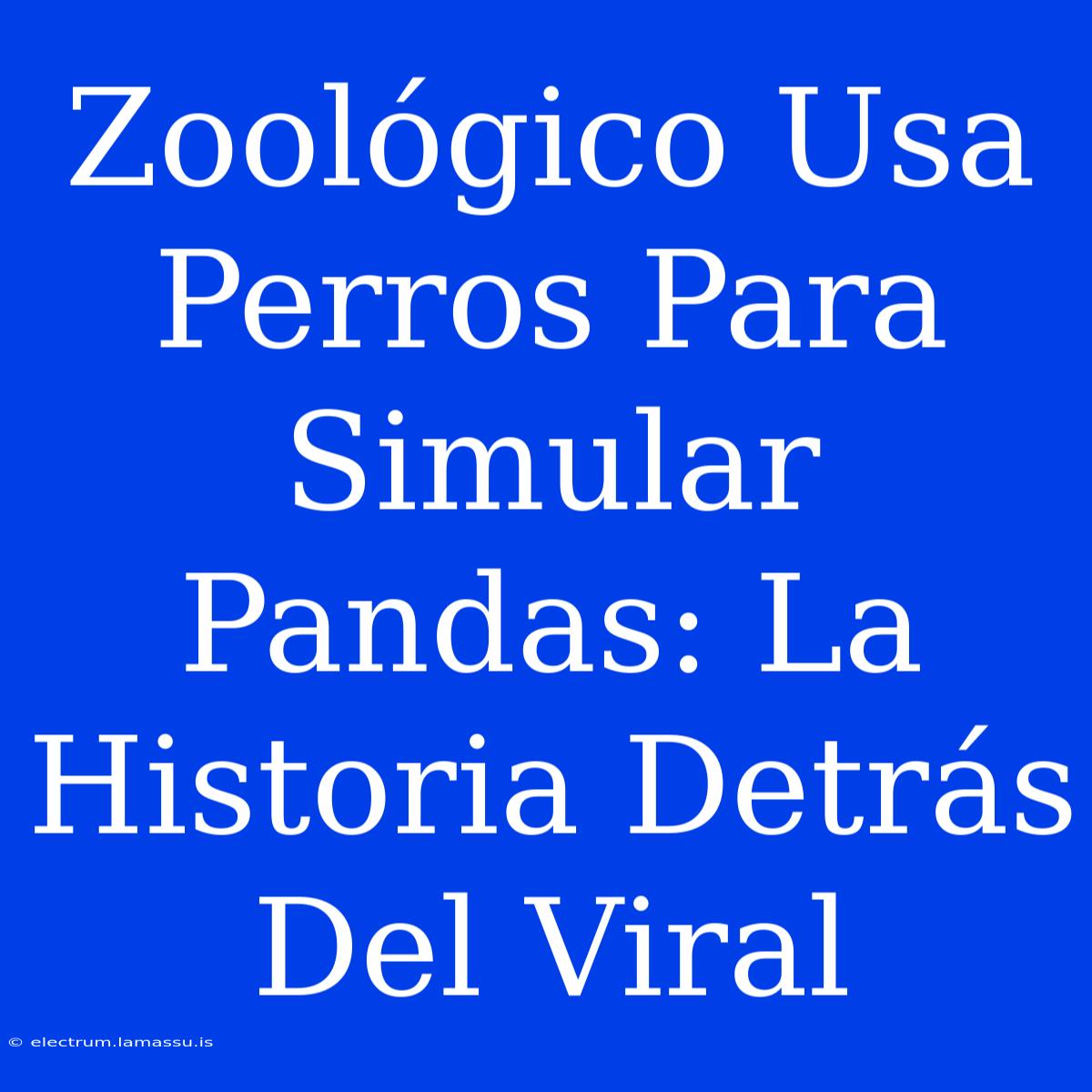 Zoológico Usa Perros Para Simular Pandas: La Historia Detrás Del Viral