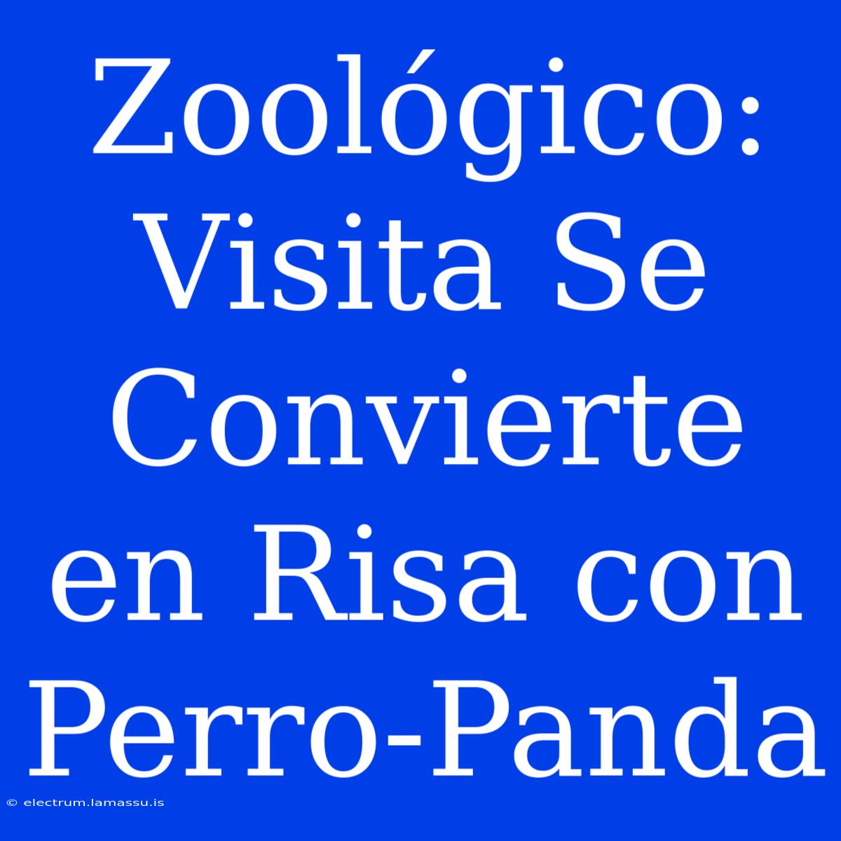 Zoológico: Visita Se Convierte En Risa Con Perro-Panda